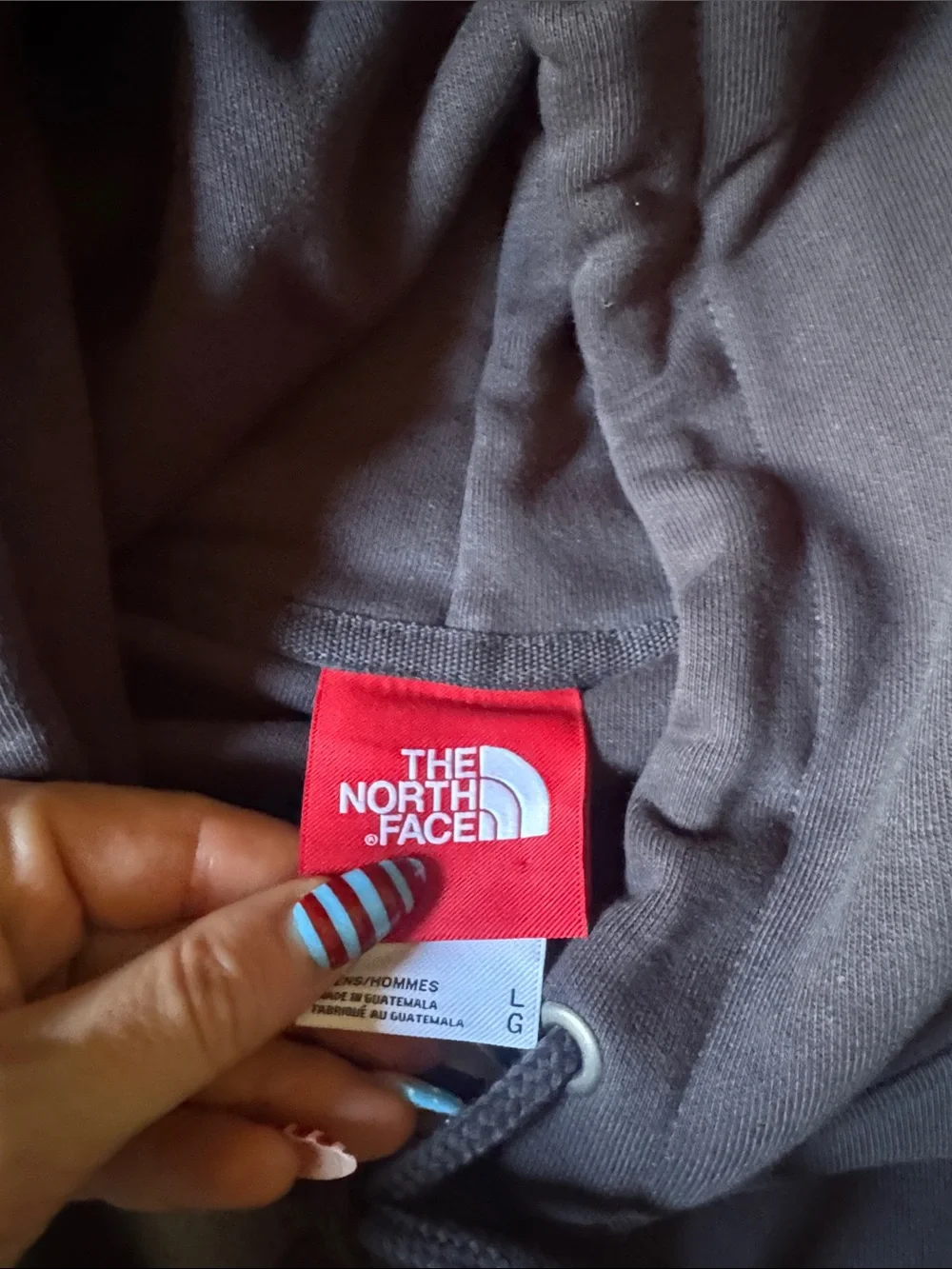 The North Face Pullover Hoodie